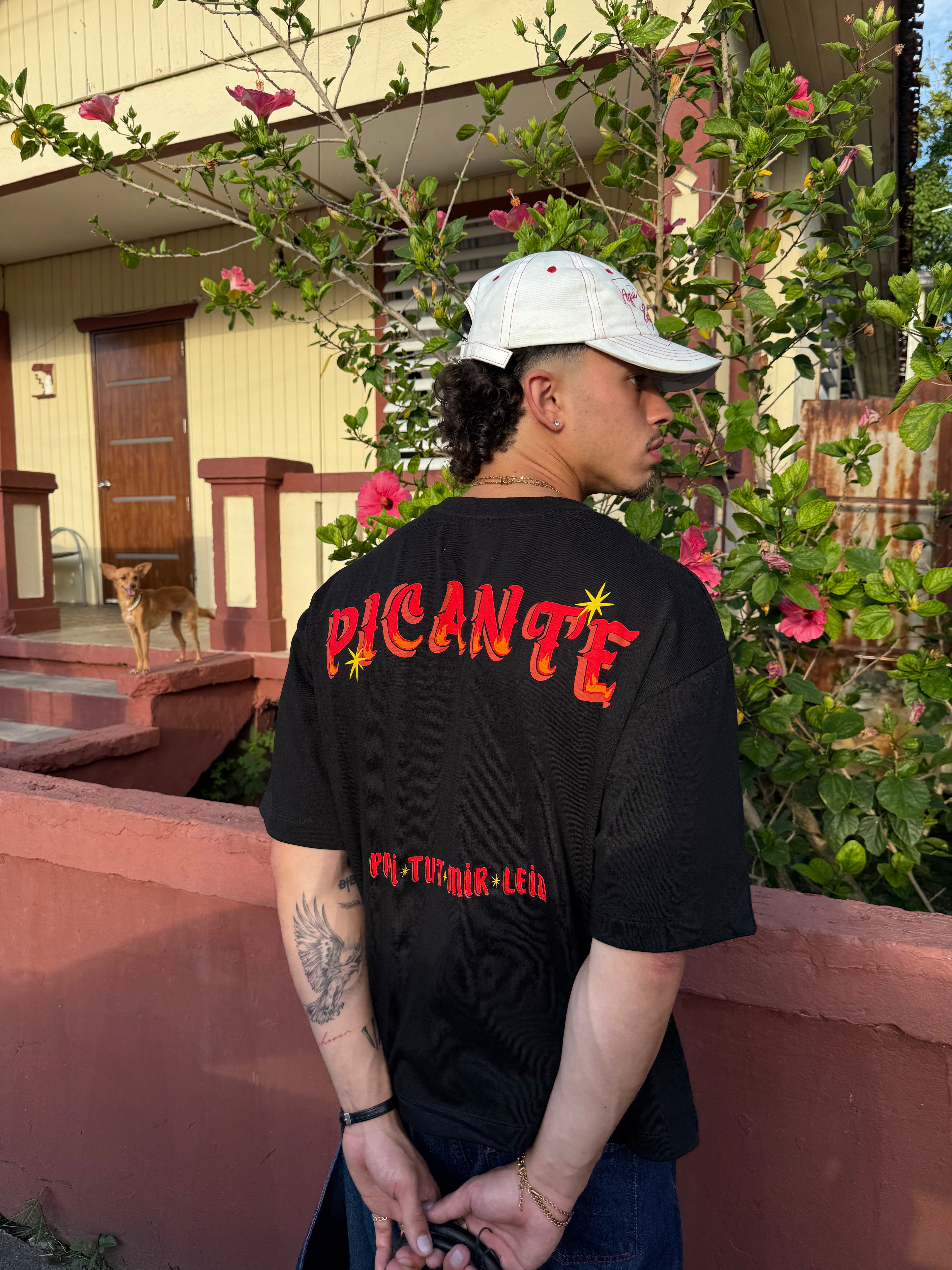 picante boxy tee
