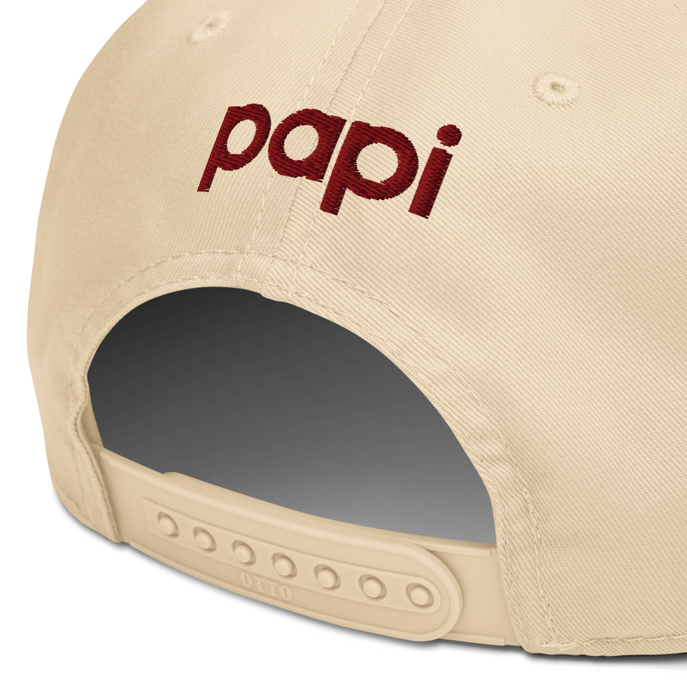 Venezuela Beisbol Cap